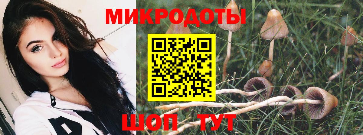 Ртищево  Галлюциногенные грибы GOLDEN TEACHER  дарнет шоп  Вход с VPN  Псилоцибиновые грибы прущие грибы 