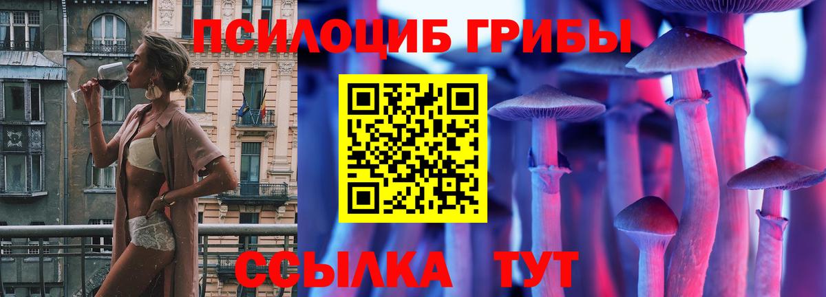 Псилоцибиновые грибы Magic Shrooms Ртищево